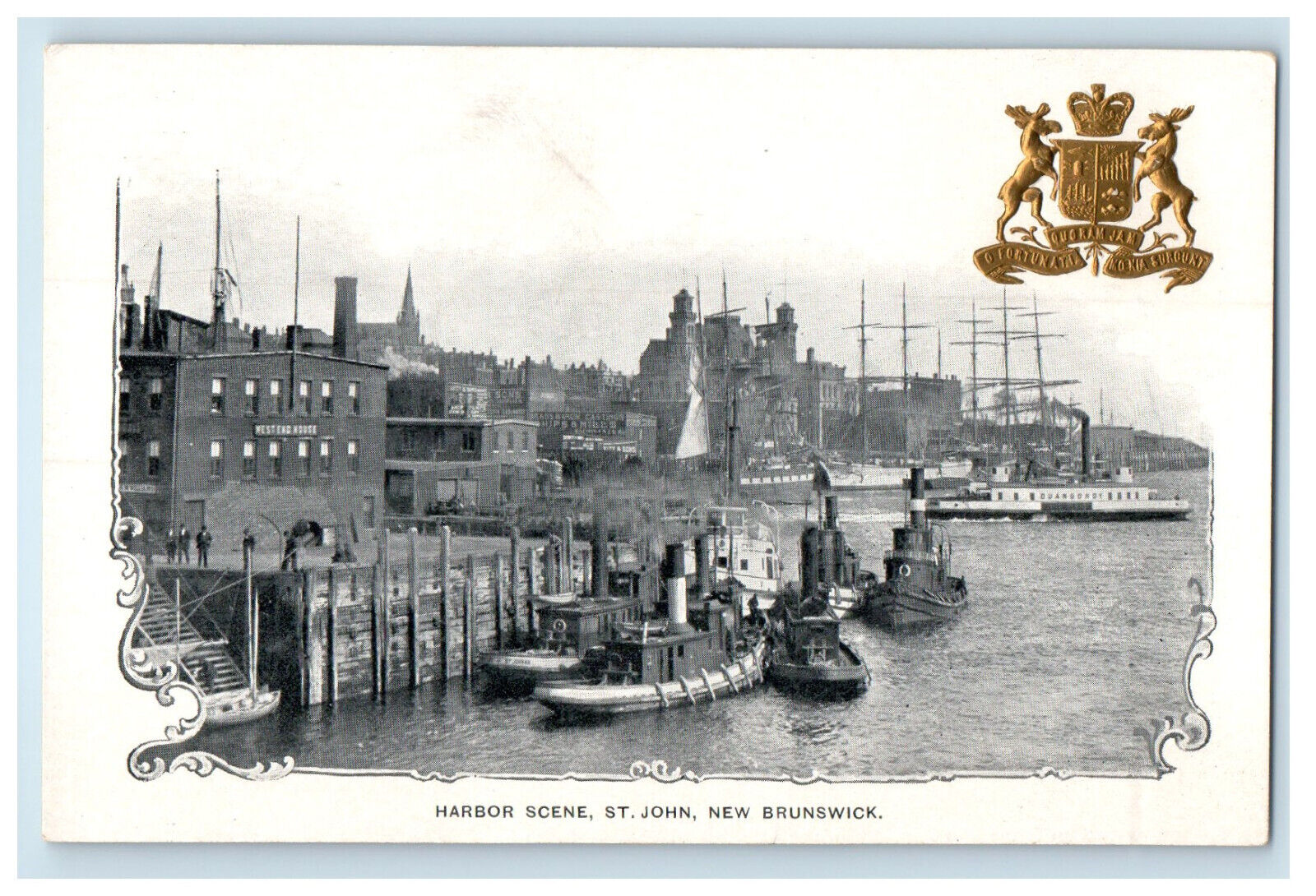 c1900s Harbor Scene St. John New Brunswick Canada Foreign PMC Postcard