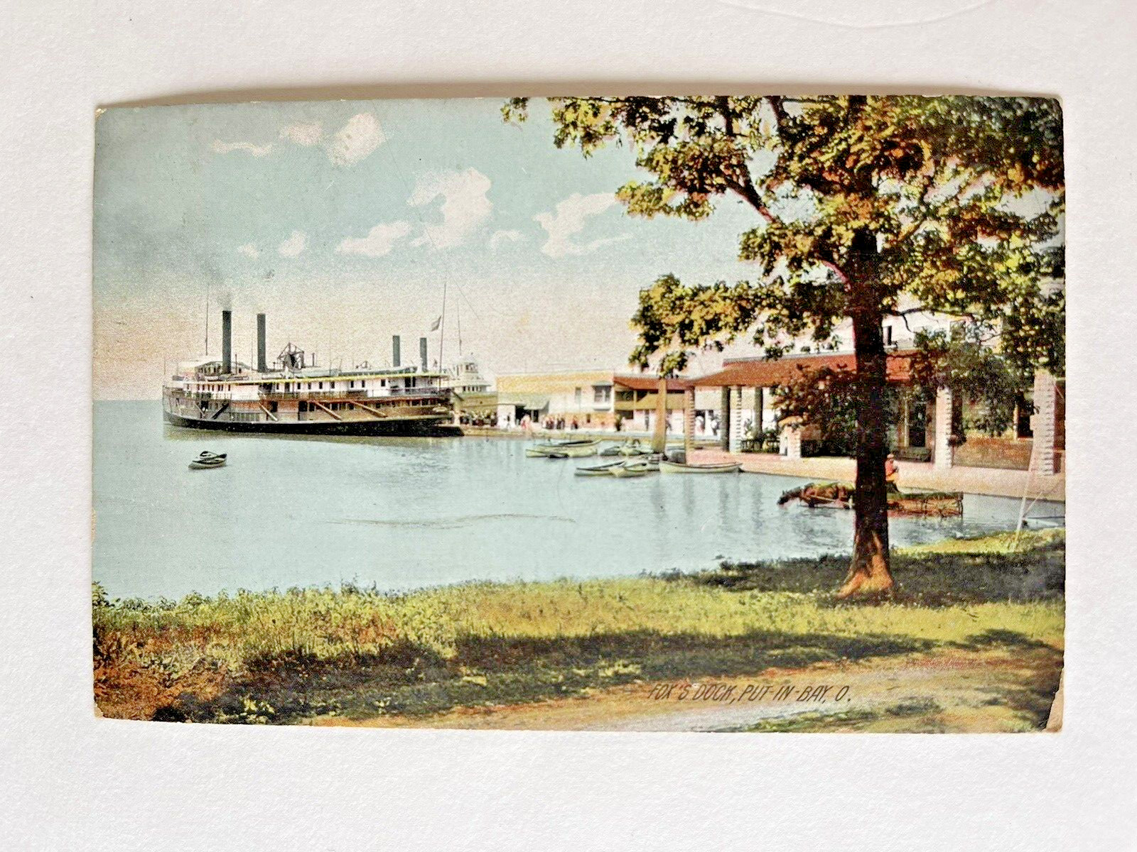 1913 Antique Vintage Postcard FOX\'S DOCK PUT-IN-BAY Ohio STEAMSHIP Horse n Water
