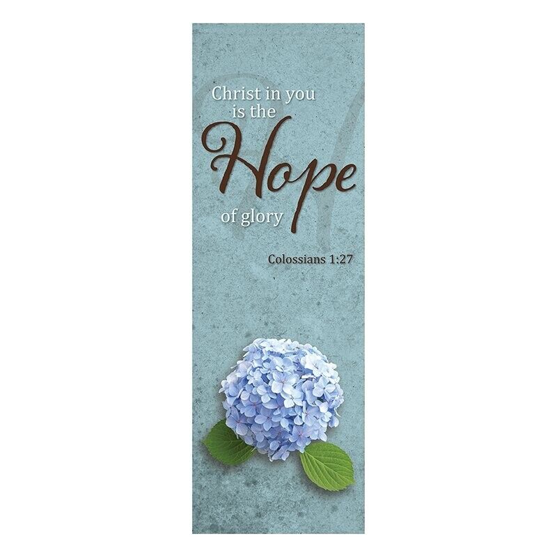 Christ In You Is Hope Inspirational Scripture Full Color Church Banner 63 In