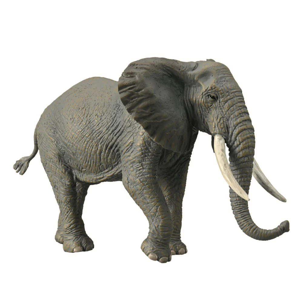 Collectible CollectA African Elephant Action Figure Extra Large Ages 3+ and Up
