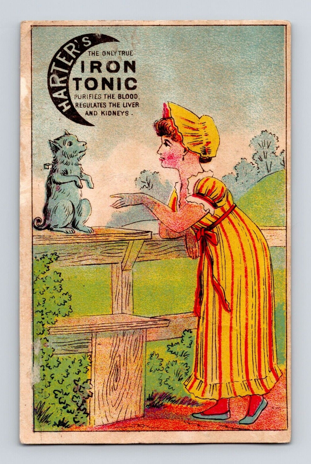 Harter\'s Iron Tonic Victorian Trade Card Nice Back Lady Dog On Fence