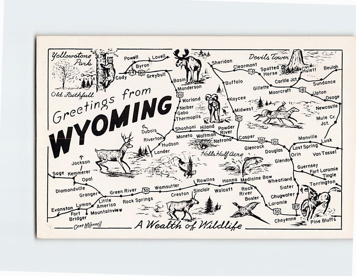 Postcard Greetings from Wyoming A Wealth of Wildlife Map Wyoming USA