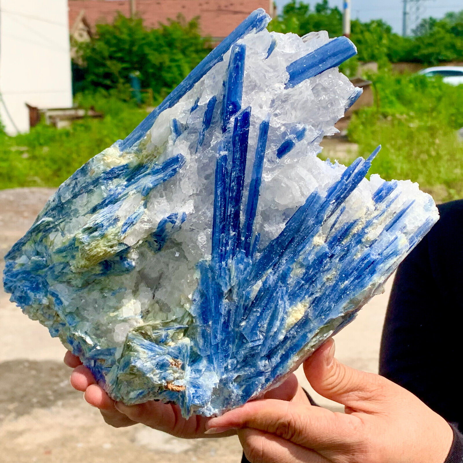 7.11LB  Natural Blue KYANITE with MicaQuartz Crystal Specimen Rough healing