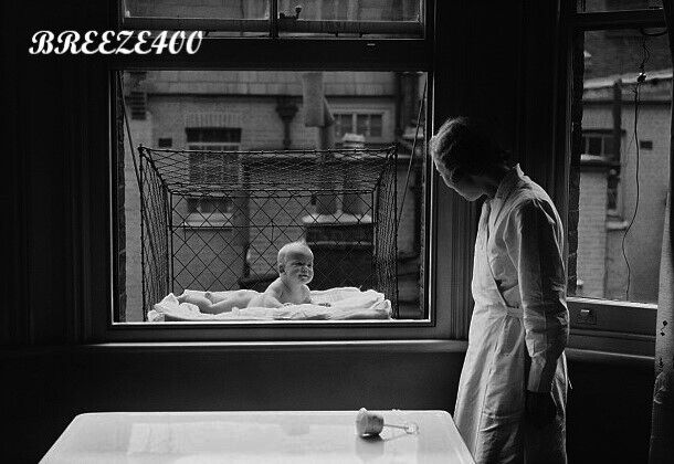 Americana Photo/1930\'s New York City/BABY CAGE IN WINDOW/4x6 B&W Photo Reprint
