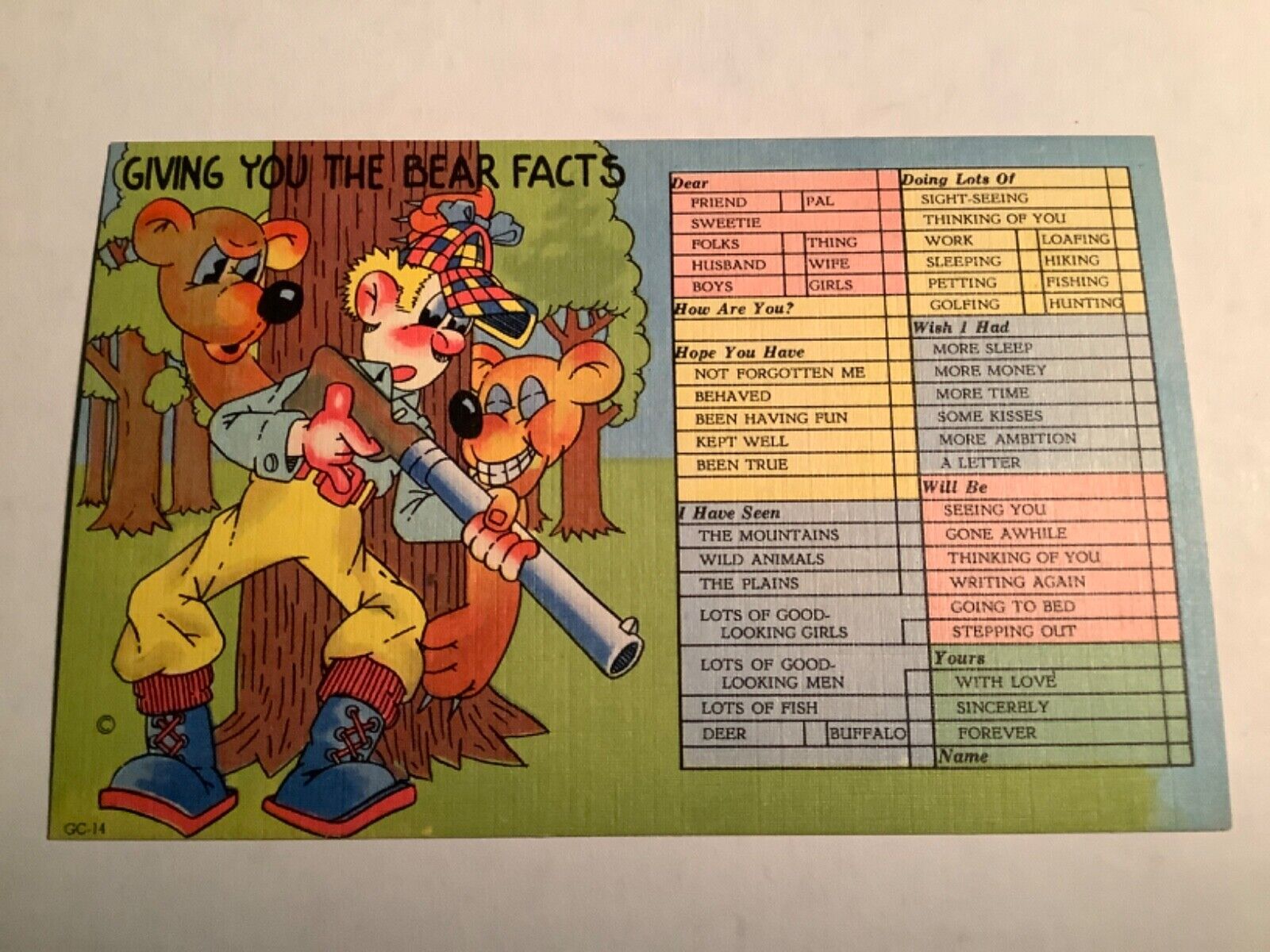  Postcard Giving You The Bear Facts Man Hunting Gun Cartoons Comic Unposted