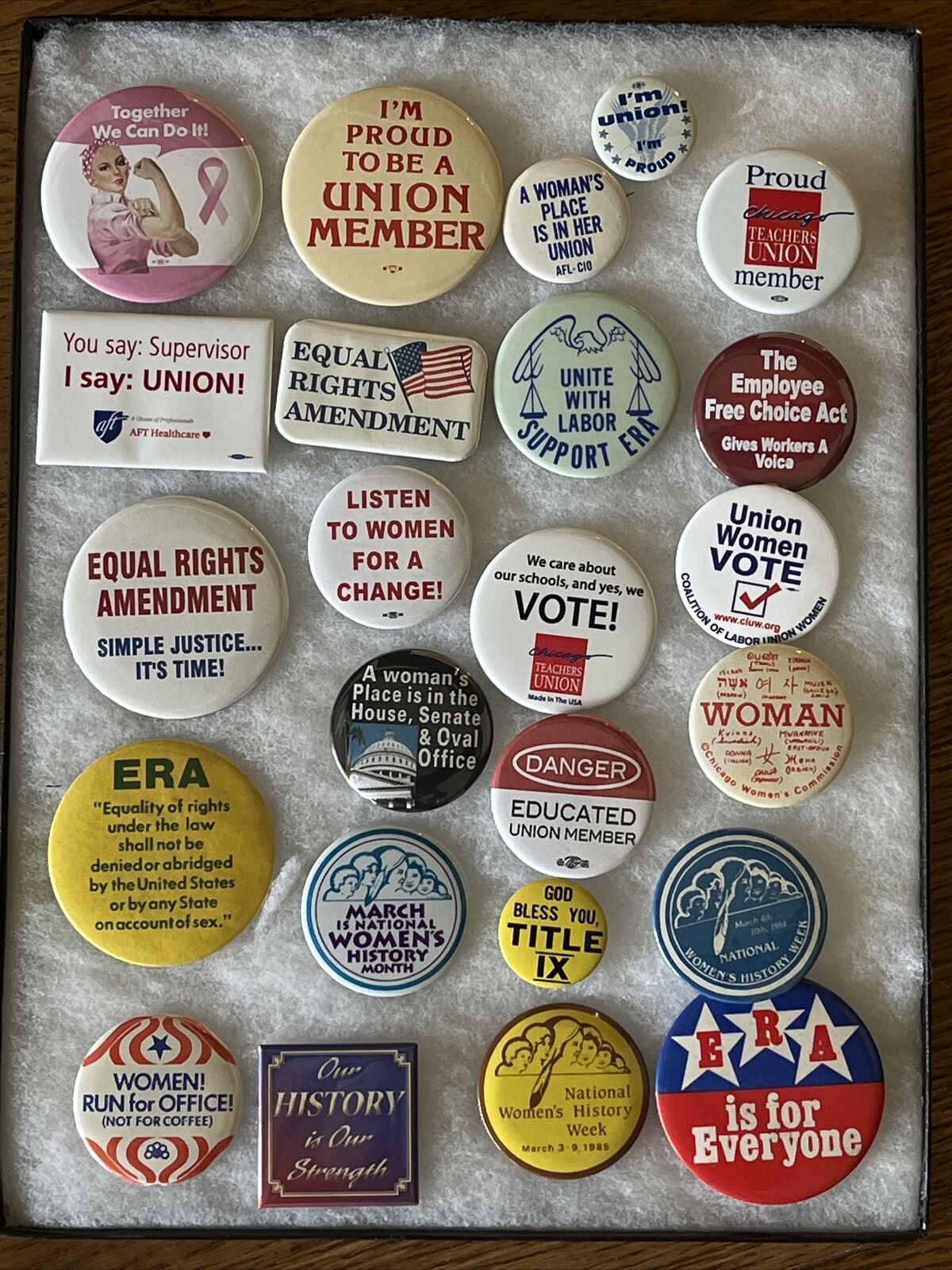 Vintage Vote Women ERA Union Democrat Change Equal Rights Election Button LOT Z