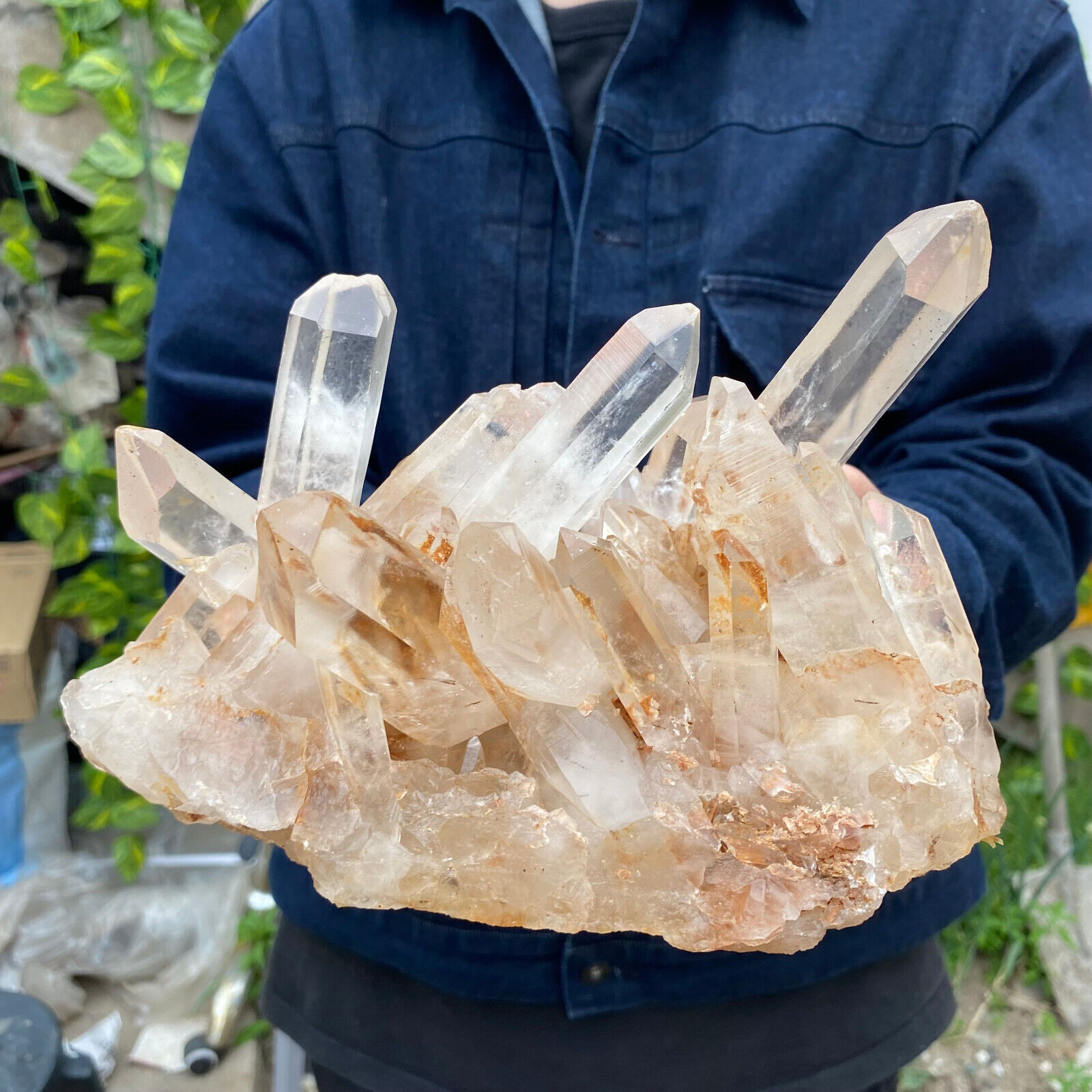 4LB A++Large Natural clear white Crystal Himalayan quartz cluster /mineralsls
