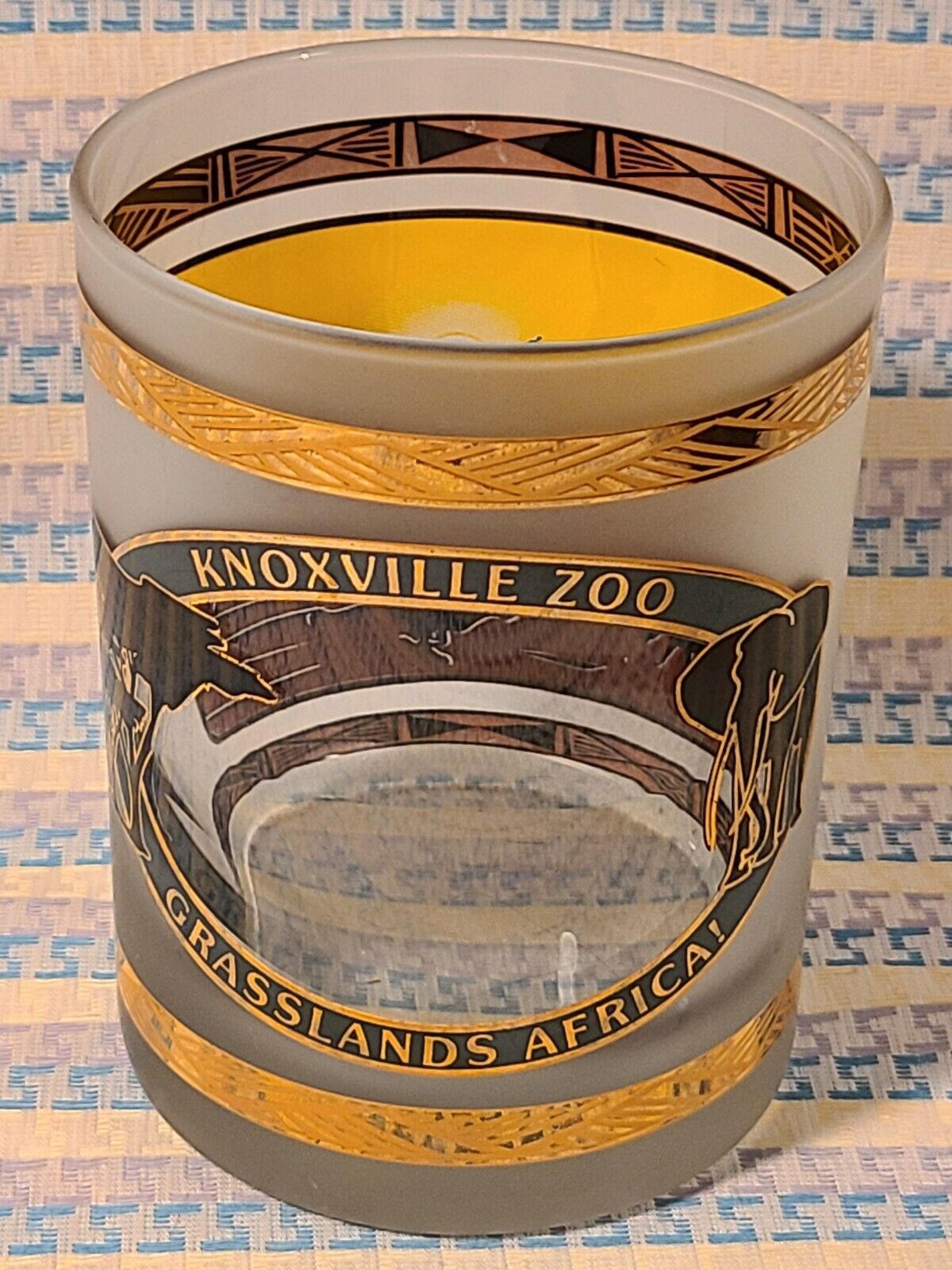 Knoxville Zoo Tennessee Grasslands Africa Souvenir Rocks Glass Partially Frosted