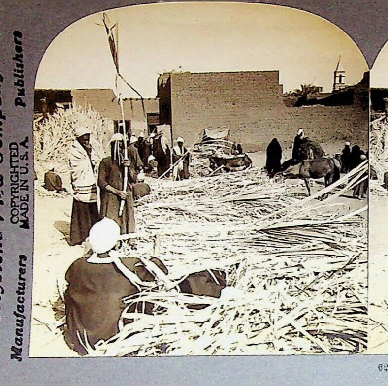 Sugar Cane Bazaaar Aswan Assuan Egypt Photograph Keystone Stereoview Card