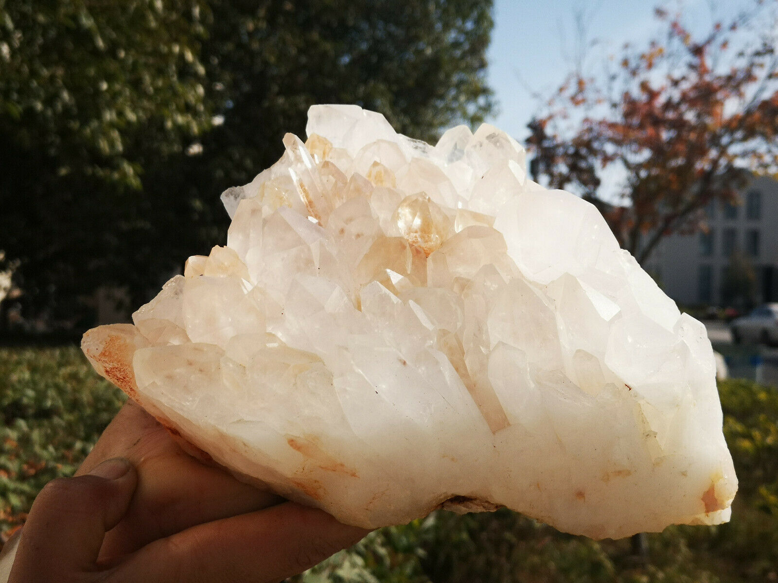 6.5 LB Natural White Quartz Crystal Cluster Mineral Specimen Healing