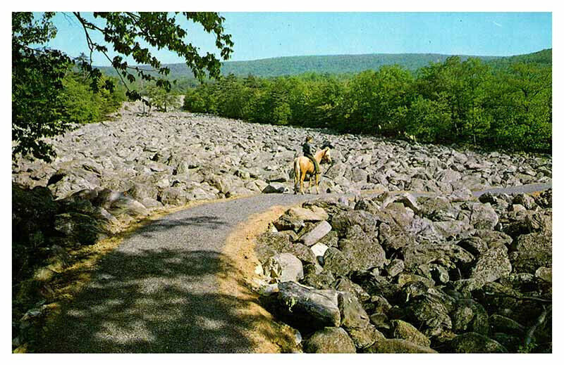 Postcard ROAD SCENE Lenhartsville Pennsylvania PA AU0968