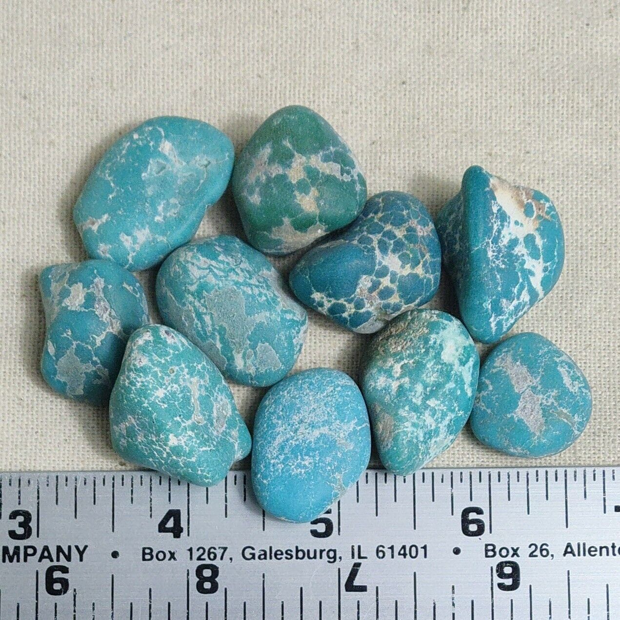 Fox Mine Blue Turquoise Rough Stone Gem 102 Gram Lot 34-19