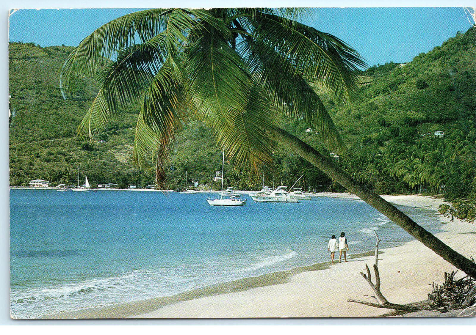 Cane Garden Bay Tortola British Virgin Islands Vintage 4x6 Postcard E84