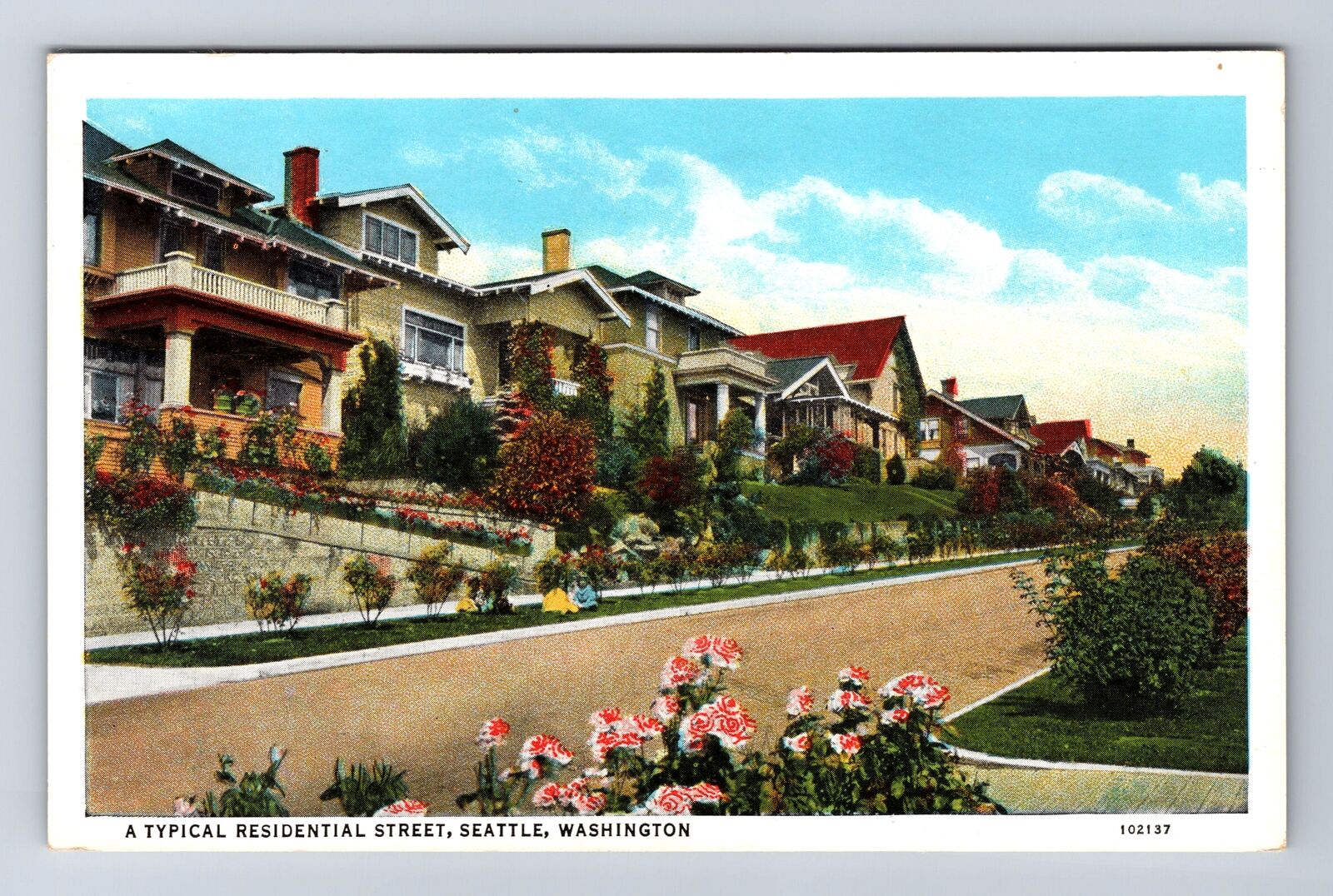 Seattle WA-Washington, Typical Residential Street, Antique Vintage Postcard