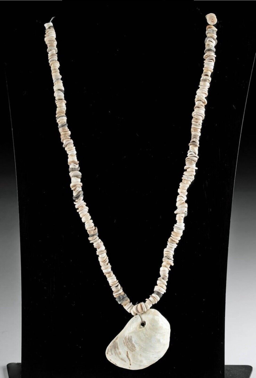 18th C. Native American Chumash Shell Bead Necklace