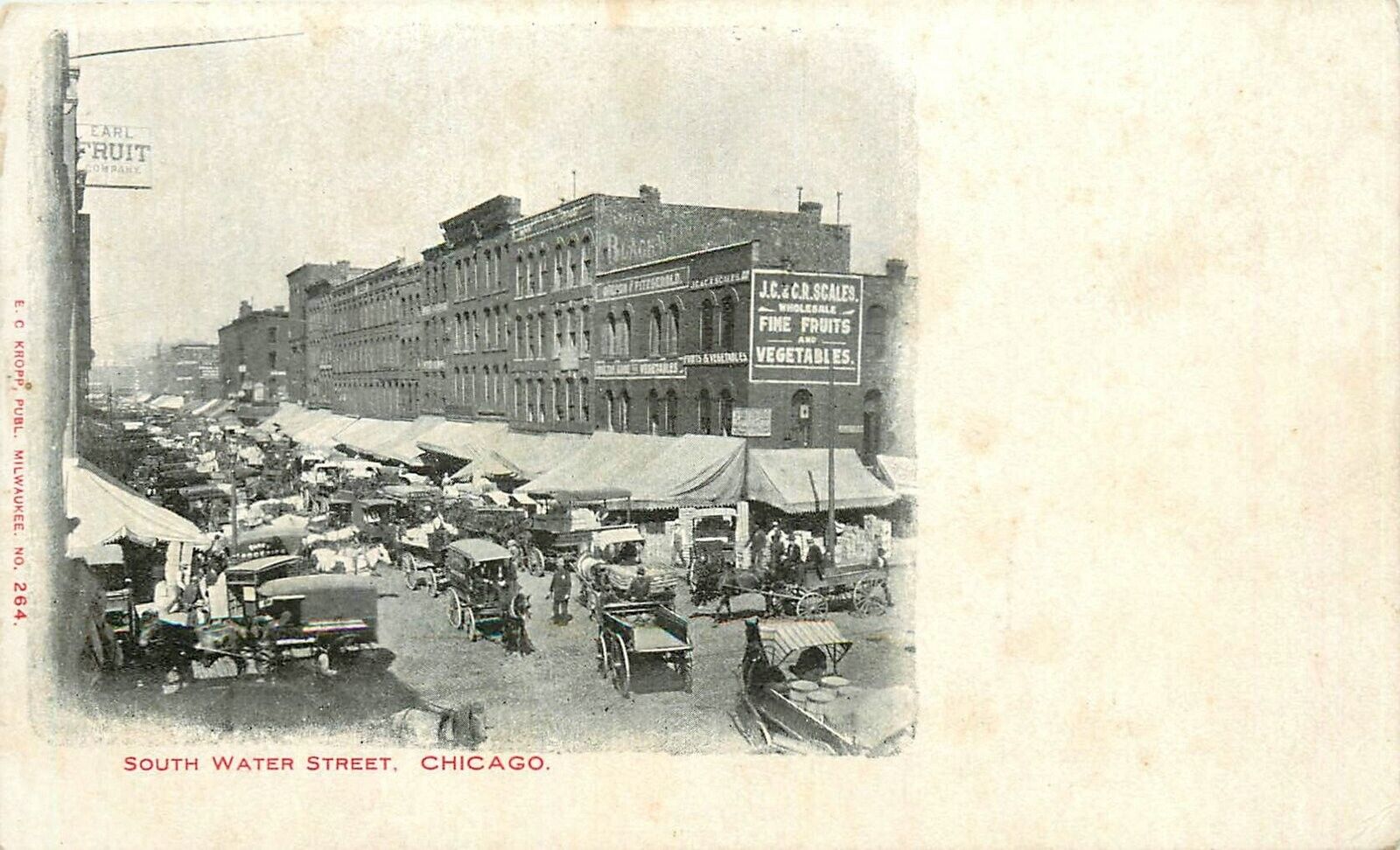 Postcard C-1905 Illinois Chicago South Water Street undivided Kropp 24-16