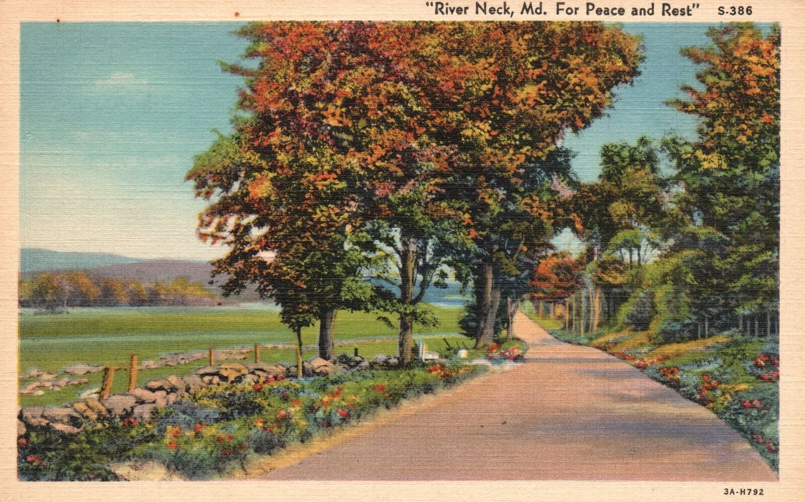Vintage Postcard For Peace And Rest River Neck Maryland C. T. Landscapes Scenes