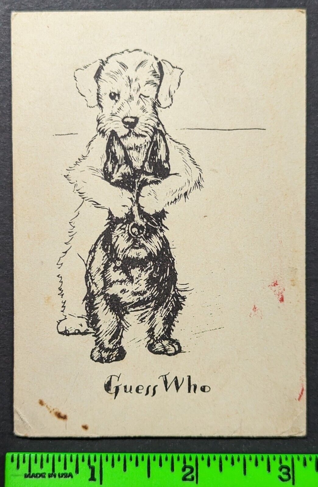 Vintage 1880's Guess Who Dog Terrier Play Peekaboo Trade Card