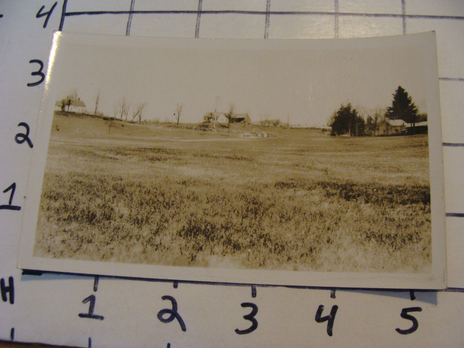 Vintage Postcard:  Real Photo----HOUSES, LAND not sure where ?? unused