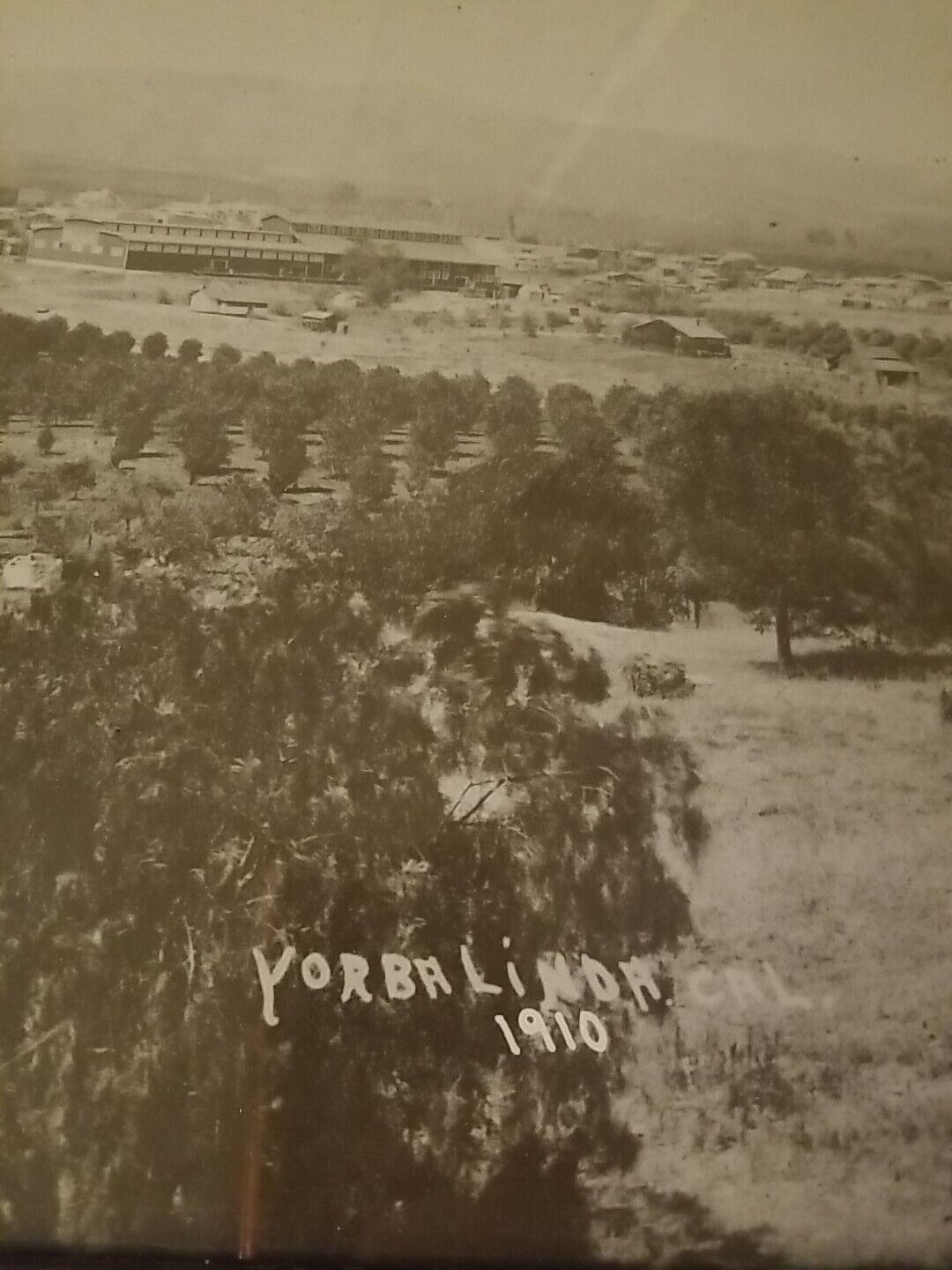 Antique Photo Of California 1910 Yorba Linda Orange County Framed 11 ×14\