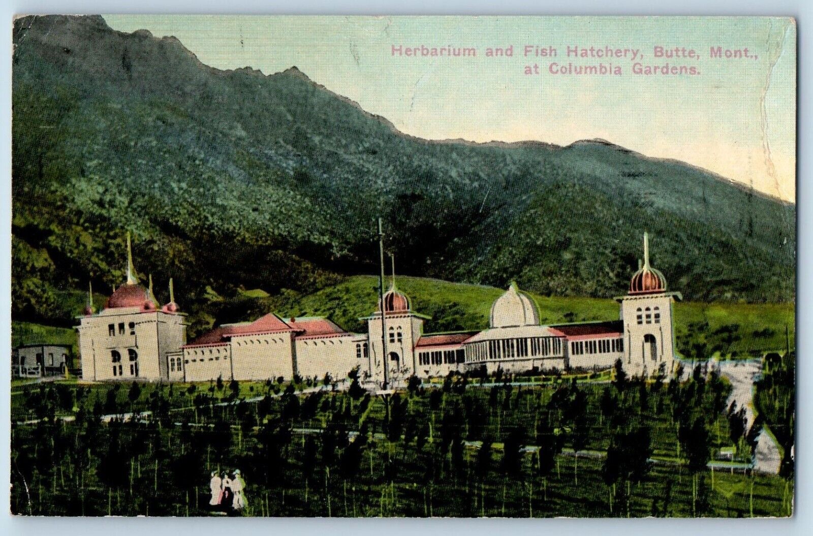 Butte Montana MT Postcard Herbarium And Fish Hatchery Columbia Gardens 1912