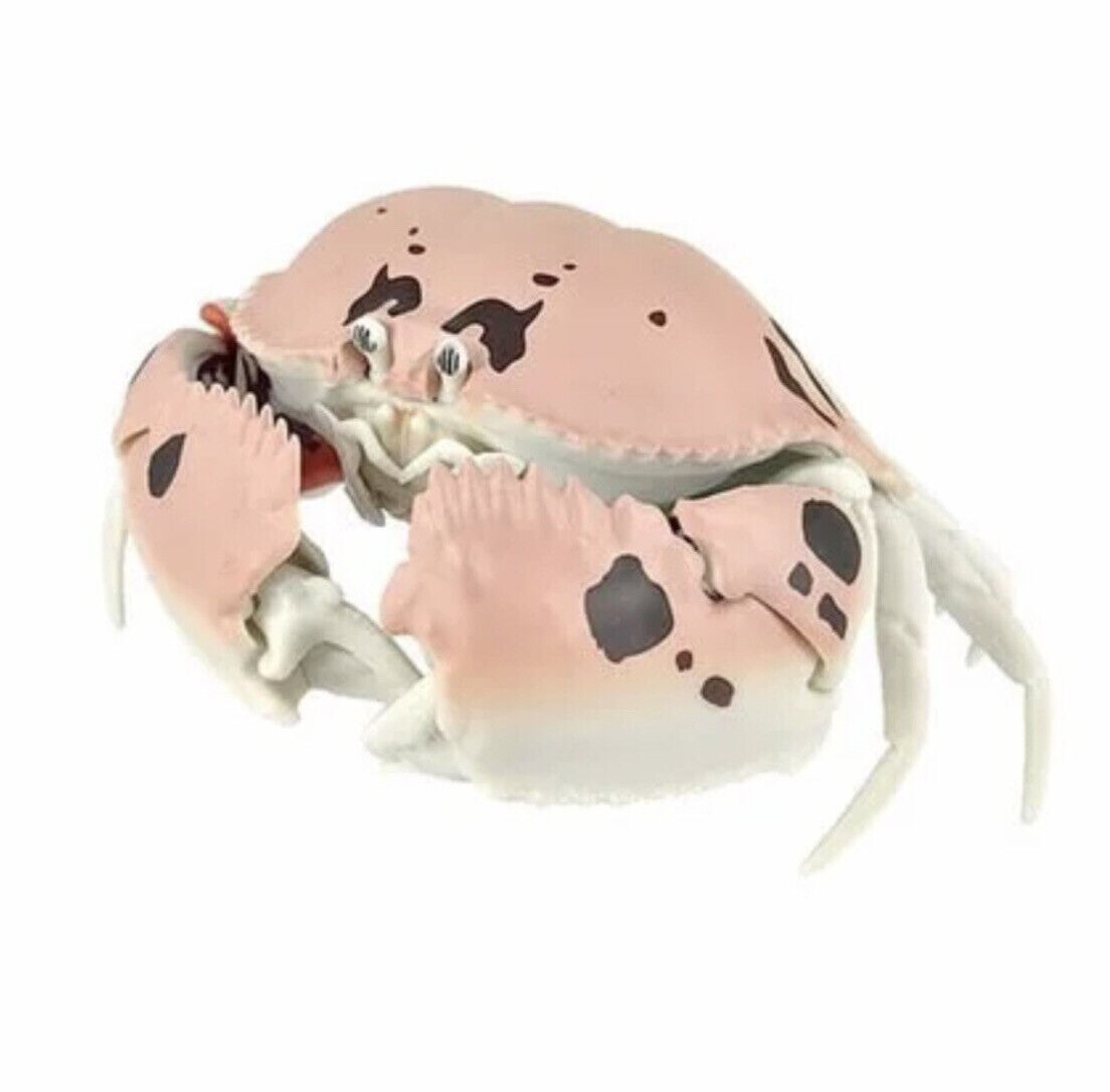 Bandai Japan Exclusive Dango Mushi Glasses Calappa Box Crab Figure