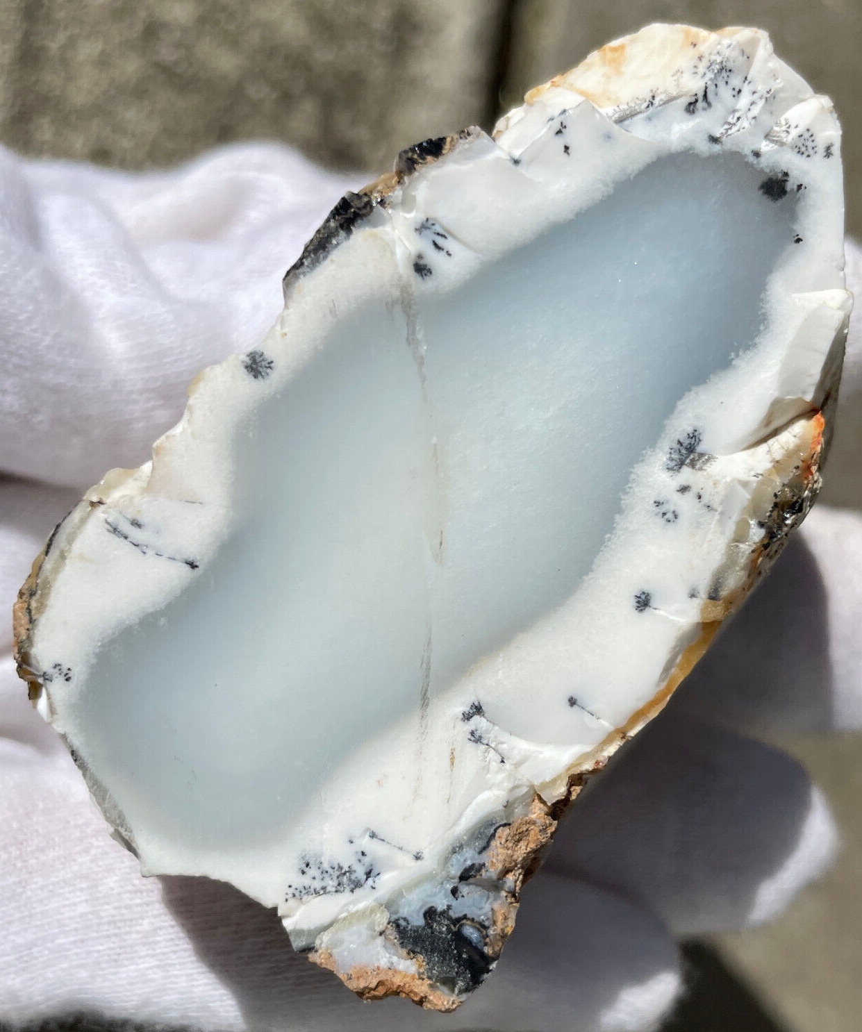 USA SALE *SEE VIDEO 143g DENDRITIC BLUE CHALCEDONY AGATE/OPAL DENDRITES ROUGH