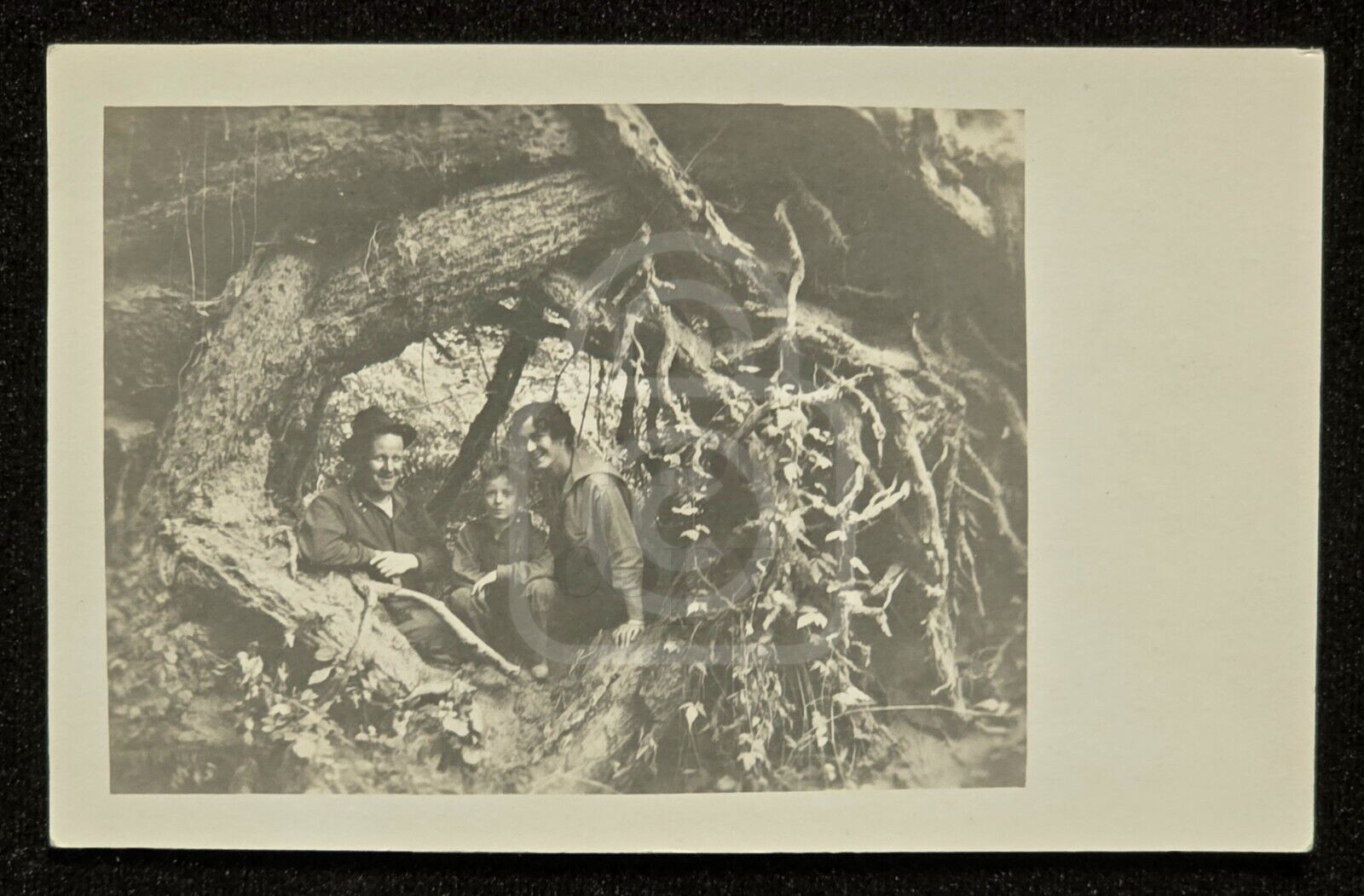 RPPC Family Posing in Tree Roots near Yacolt. Washington. C 1910's Clark County 