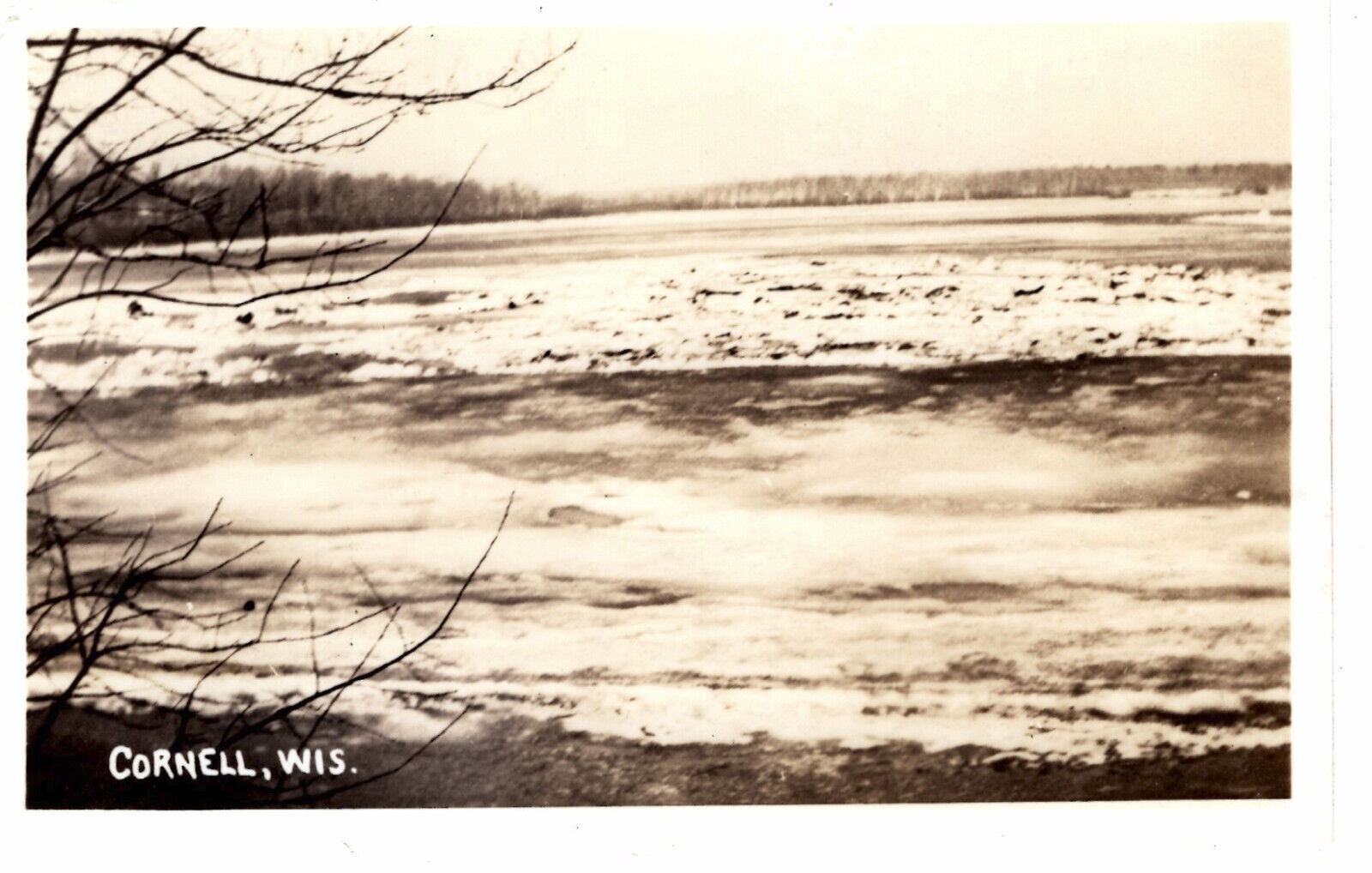 Postcard Cornell Wisconsin Lake RPPC Real Photo -8444
