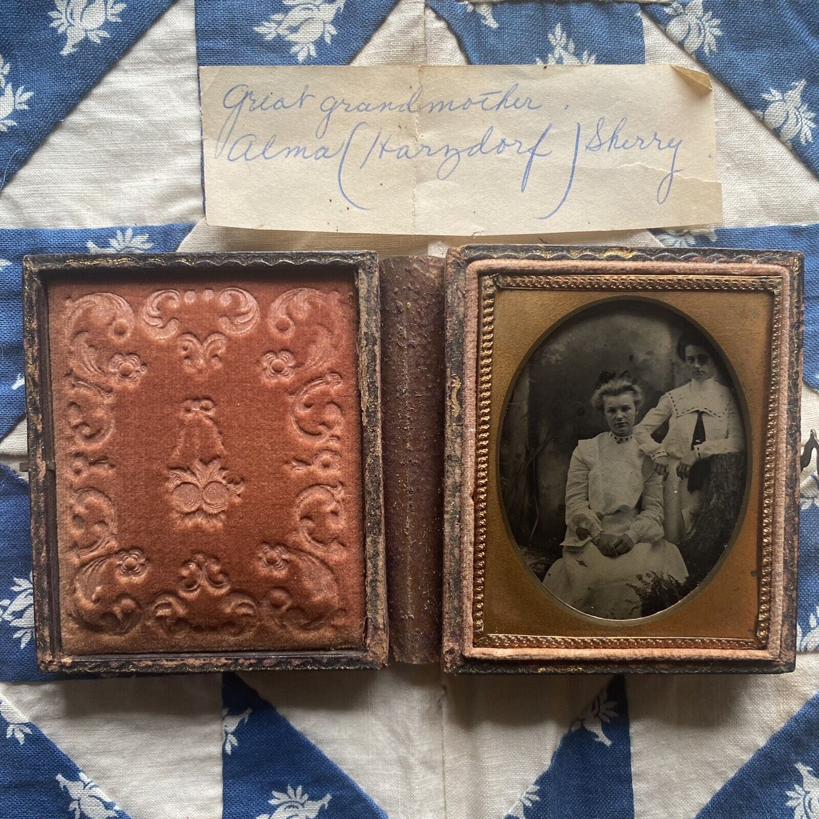CASED TINTYPE IDENTIFIED Young Girls Sisters Beautiful Studio Staged Forest