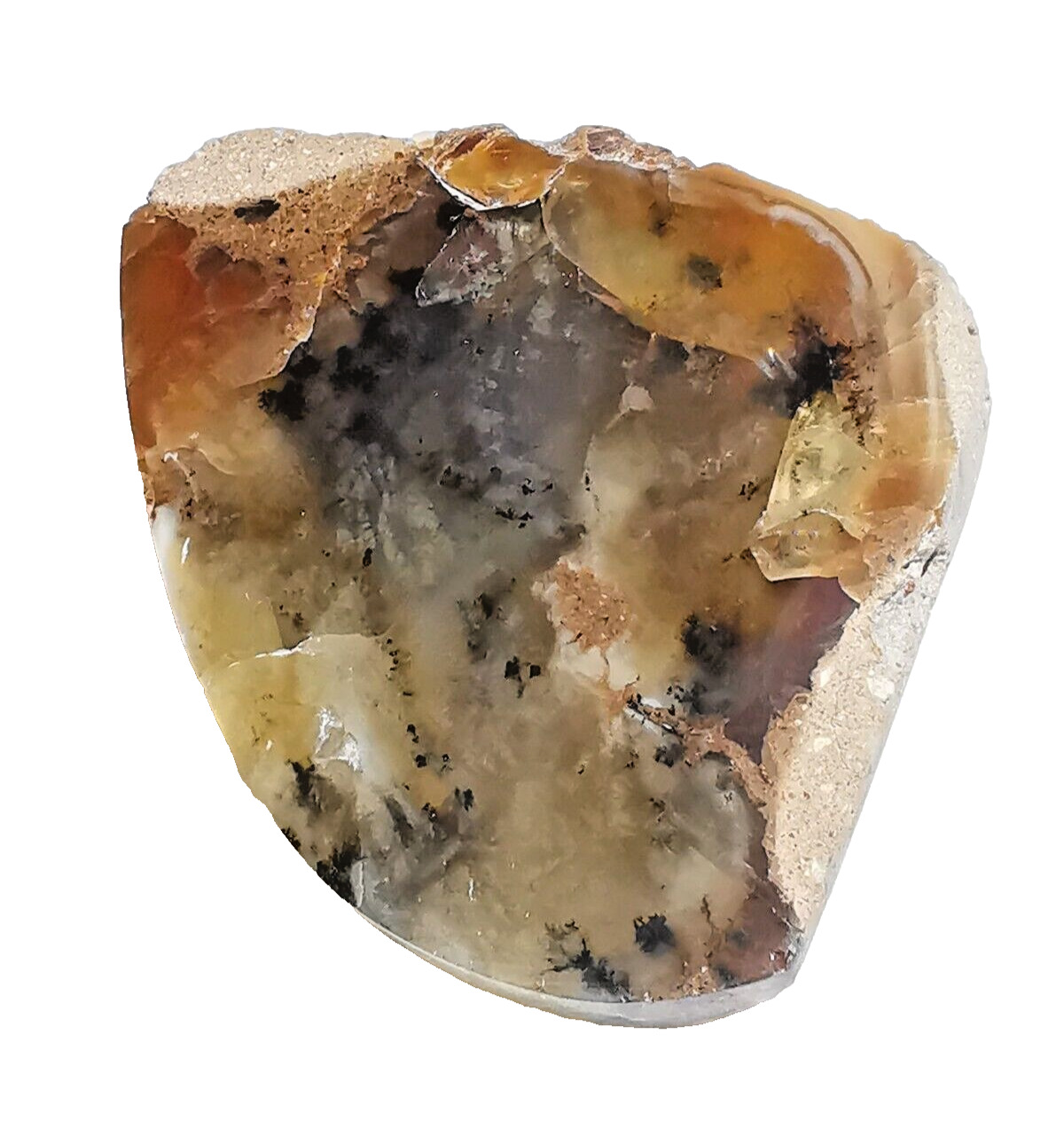 Two Side Polished Scenic Dendritic Opal, 100% Natural Stone, 600 Carat