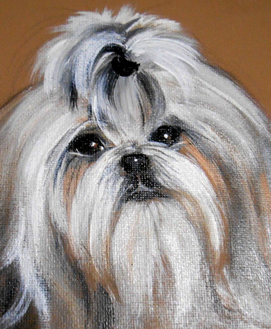 Shih Tzu Dog Original Painting by Monique 9x12 SWEET (Painting Only)