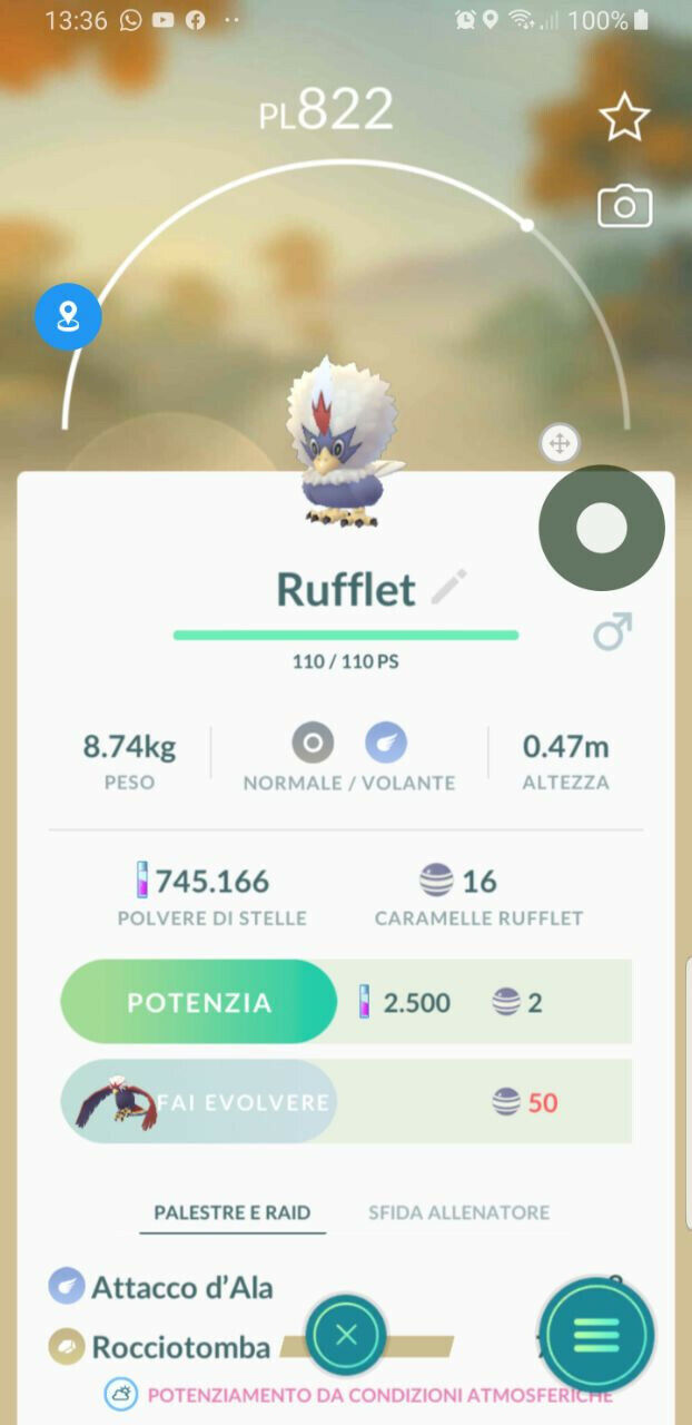  Rufflet Pokemon Go fly exchange 