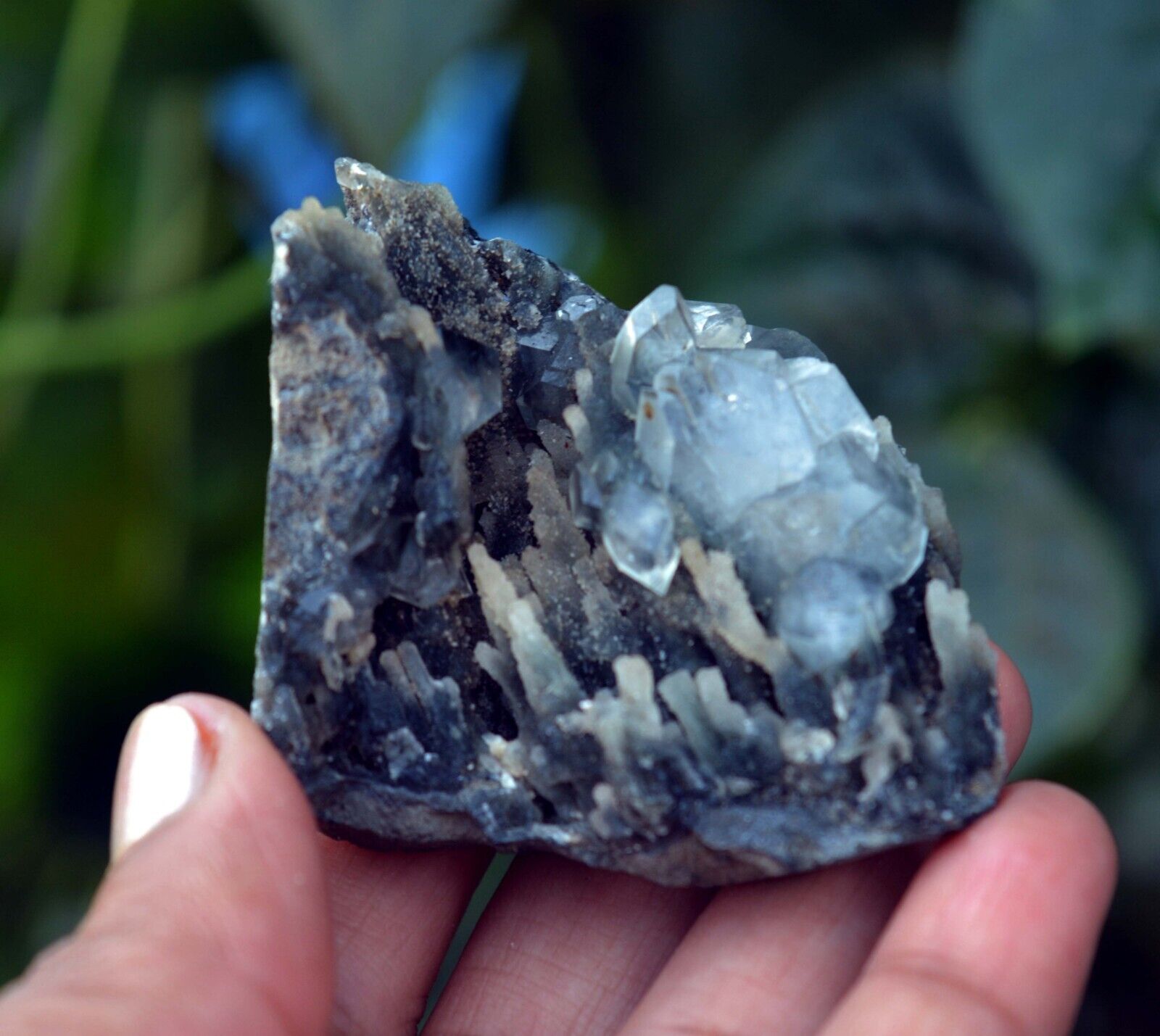 APOPHYLLITE On CHALCEDONY Coral-Matrix Minerals J-1.24