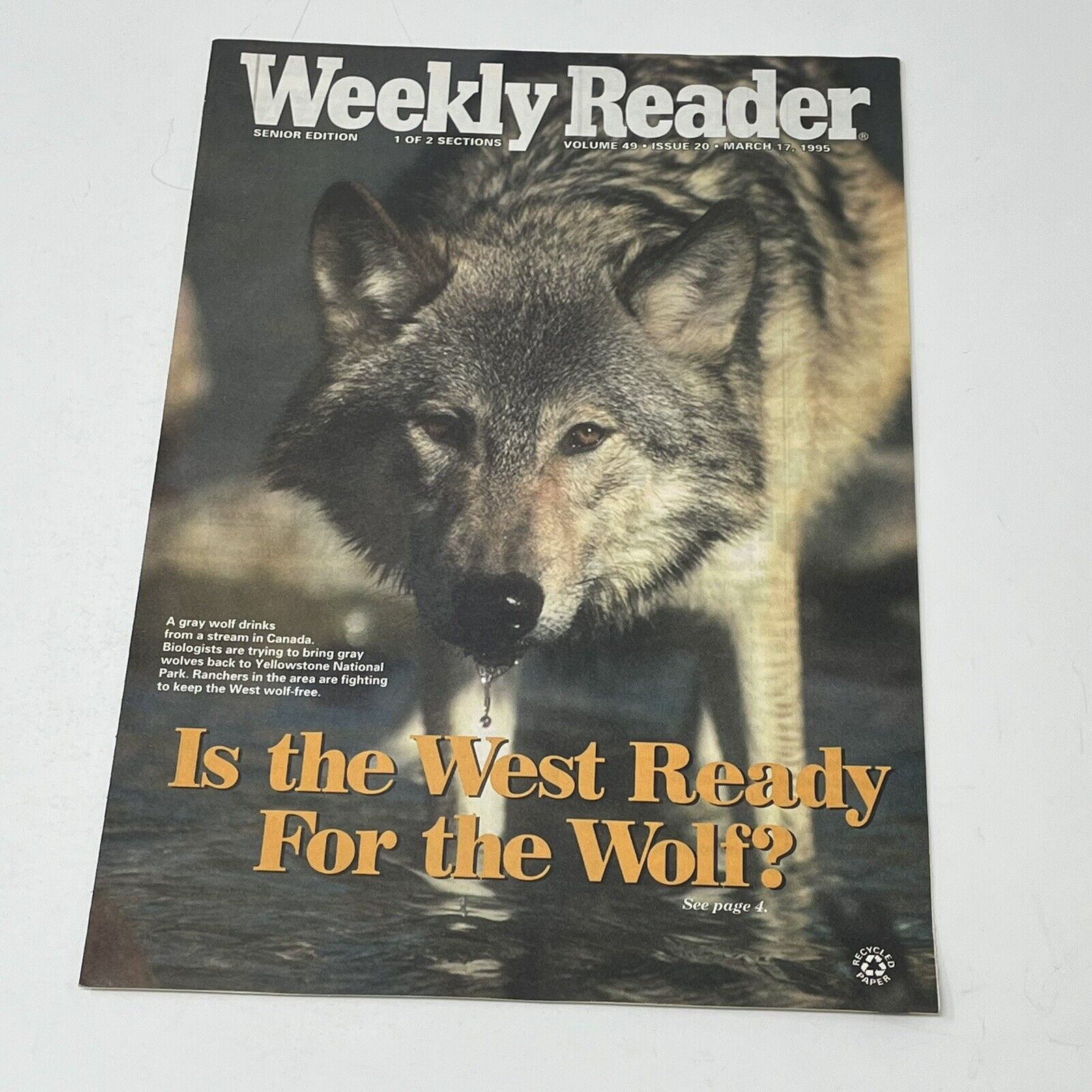 1995 Weekly Reader Magazine Wolf Conflict In Russia Chechnya Bikes Beat Out Cars