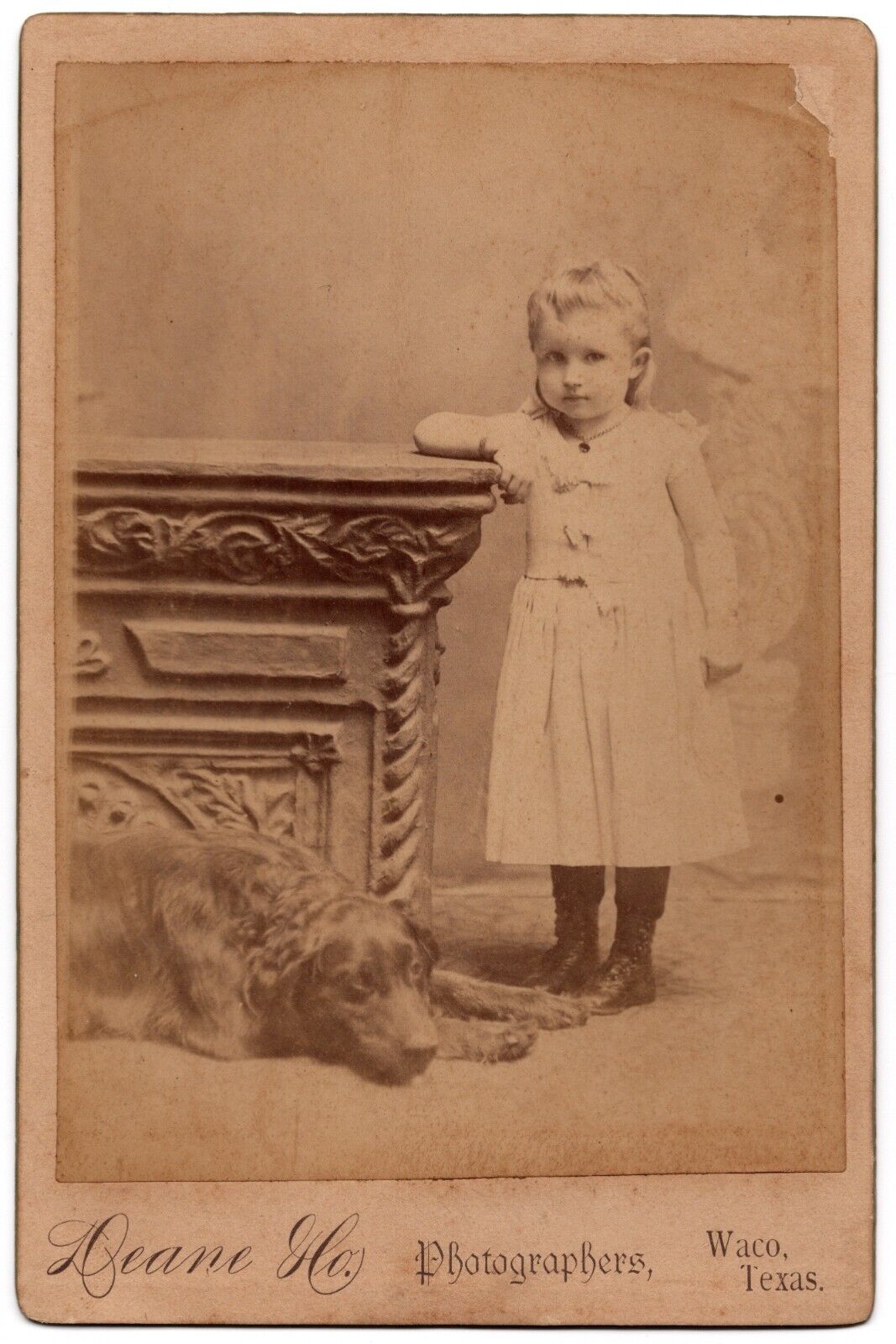 C. 1880s CABINET CARD DEANE CUTE LITTLE GIRL WITH GOLD RETRIEVER DOG WACO TEXAS