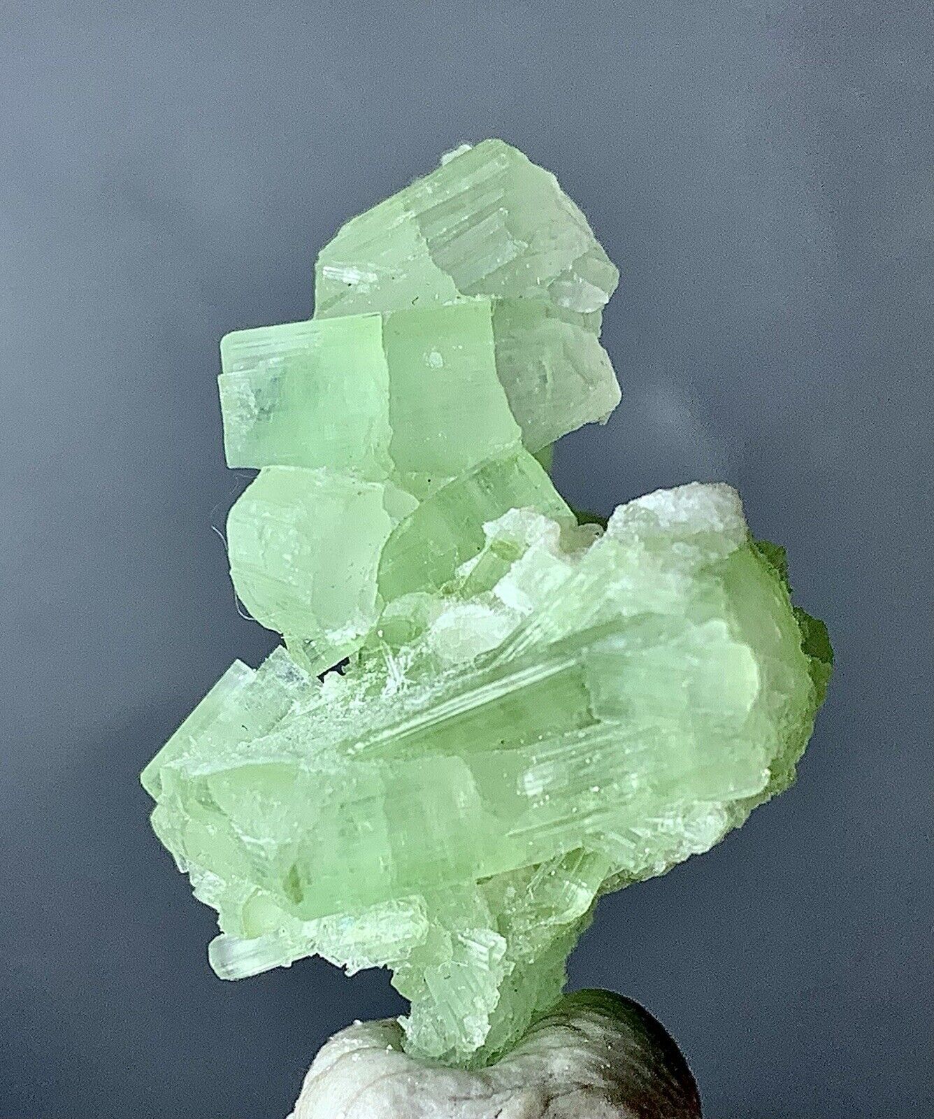 44 Carat Tourmaline Crystal Specimen From Afghanistan