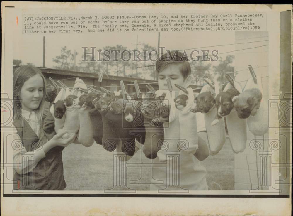 1970 Press Photo Donna Lee and her brother Roy hang puppies on a clothesline