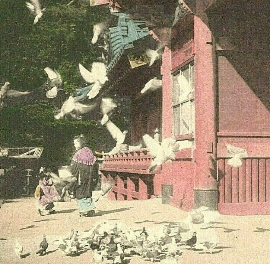 Hachiman Temple Kamakura Birds Japan Japanese Tinted Colored Vintage Postcard