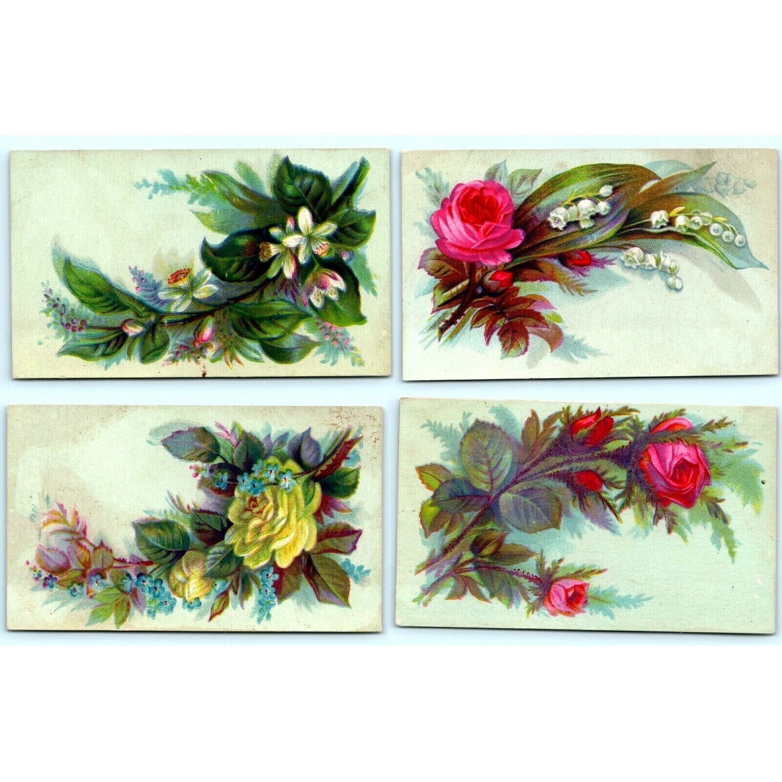 c1880s Colorful Plants & Flowers Stock Blank Business Victorian Trade Cards C13