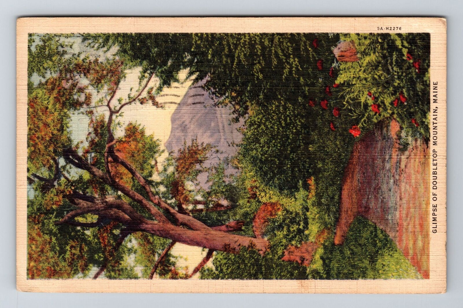 Baxter Park ME-Maine, Glimpse of Double top Mountain, c1937 Vintage Postcard