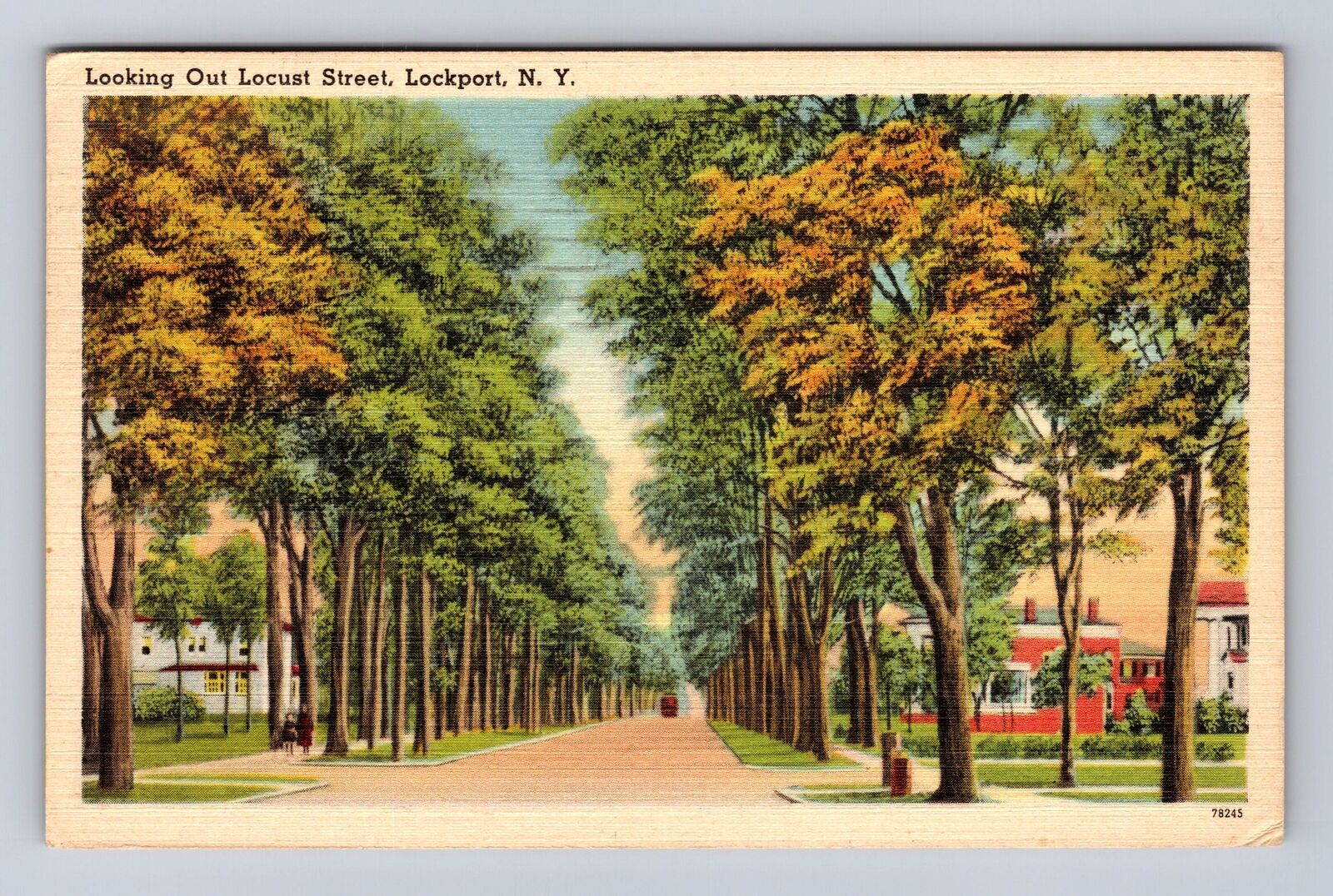 Lockport NY-New York, Looking out Locust Street, Antique Vintage Postcard