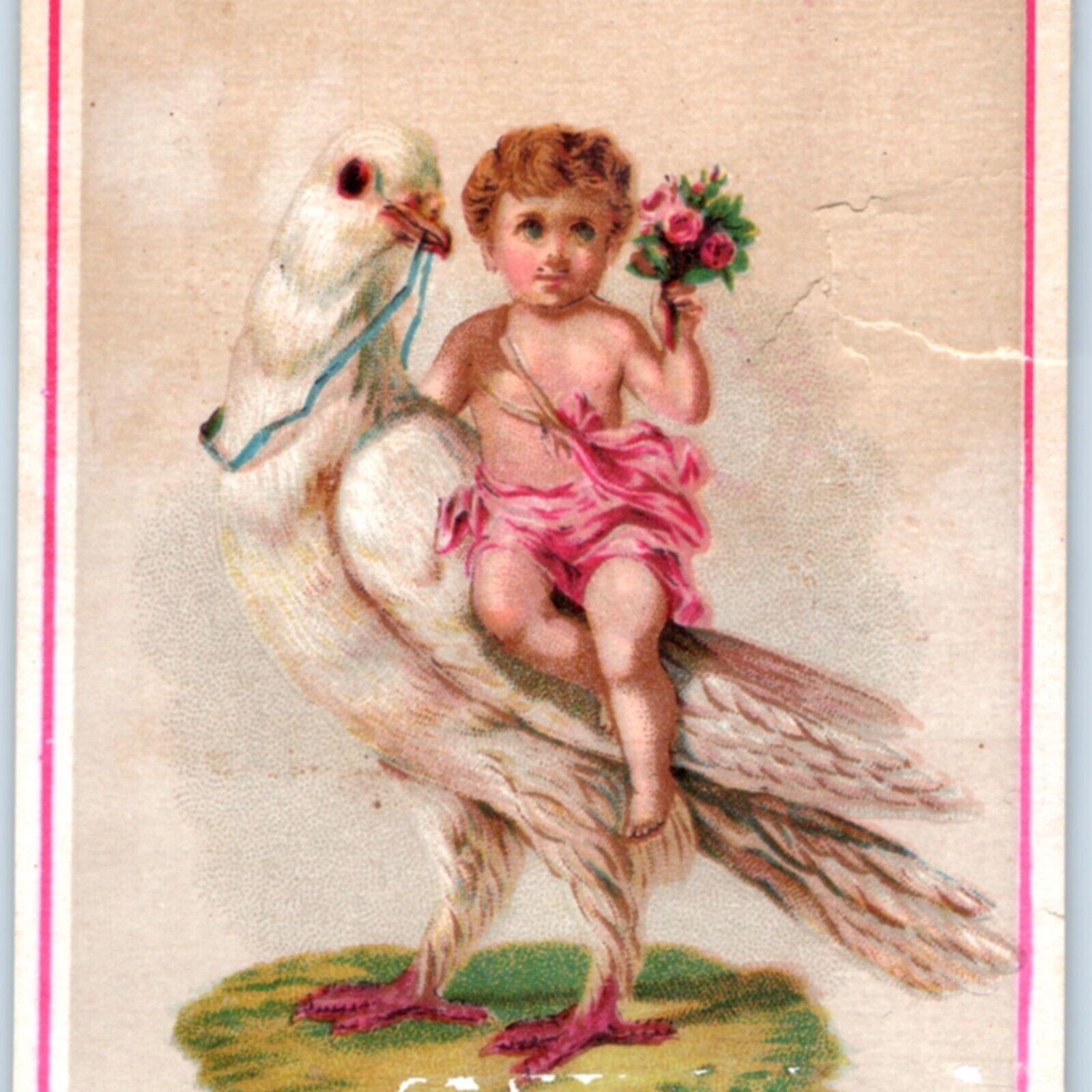 c1880s Albee\'s Midget Oyster Crackers Trade Card Cute Girl Riding Dove Bird C43