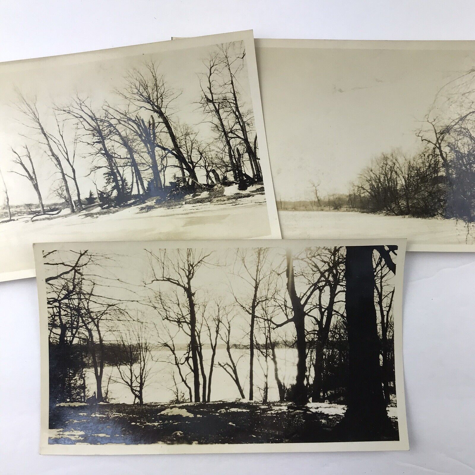 Vintage Sepia Photo Lot of 3 Bare Trees Frozen Lake Winter Snow Land Snapshots