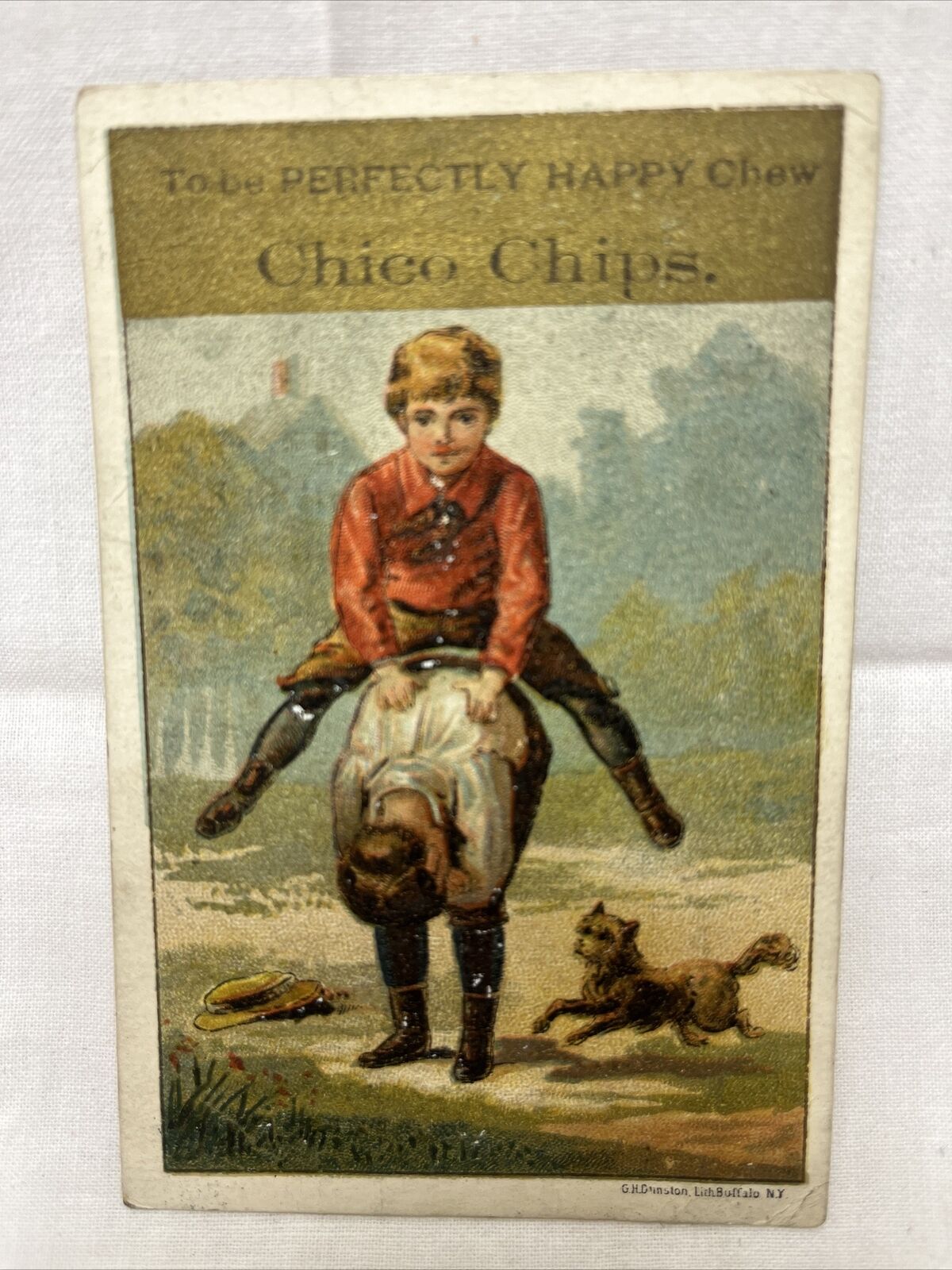 Antique Chico Chips Chewing Gum Trade Card Healthy Confection Cleveland OH 1880s