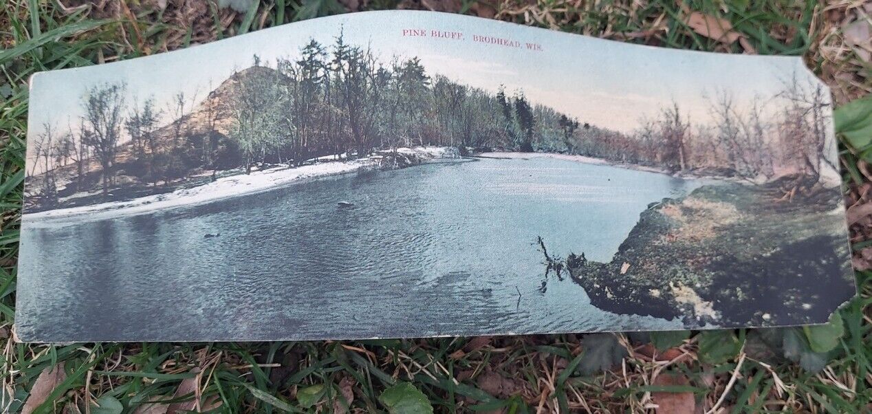 Vtg Double Postcard Extra Long Pine Bluff Brodhead, WI Panorama Illustration