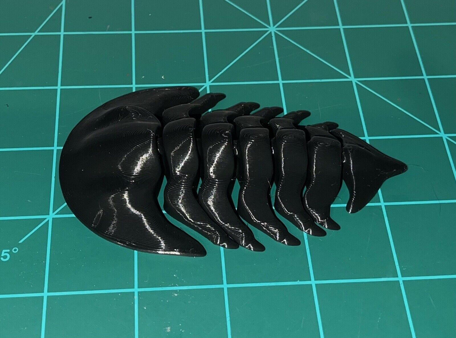 3D Printed Flexi Trilobite Fossil 5 Inch