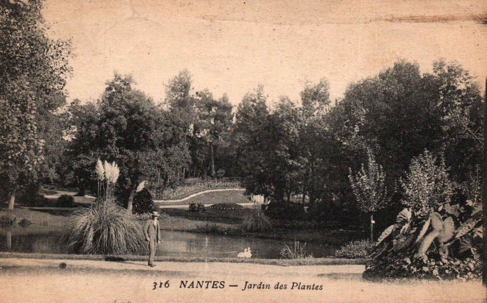 Vintage Postcard - 316 Nantes Jardin des Plantes -Posted 1919 SOLDIERS MAIL Army
