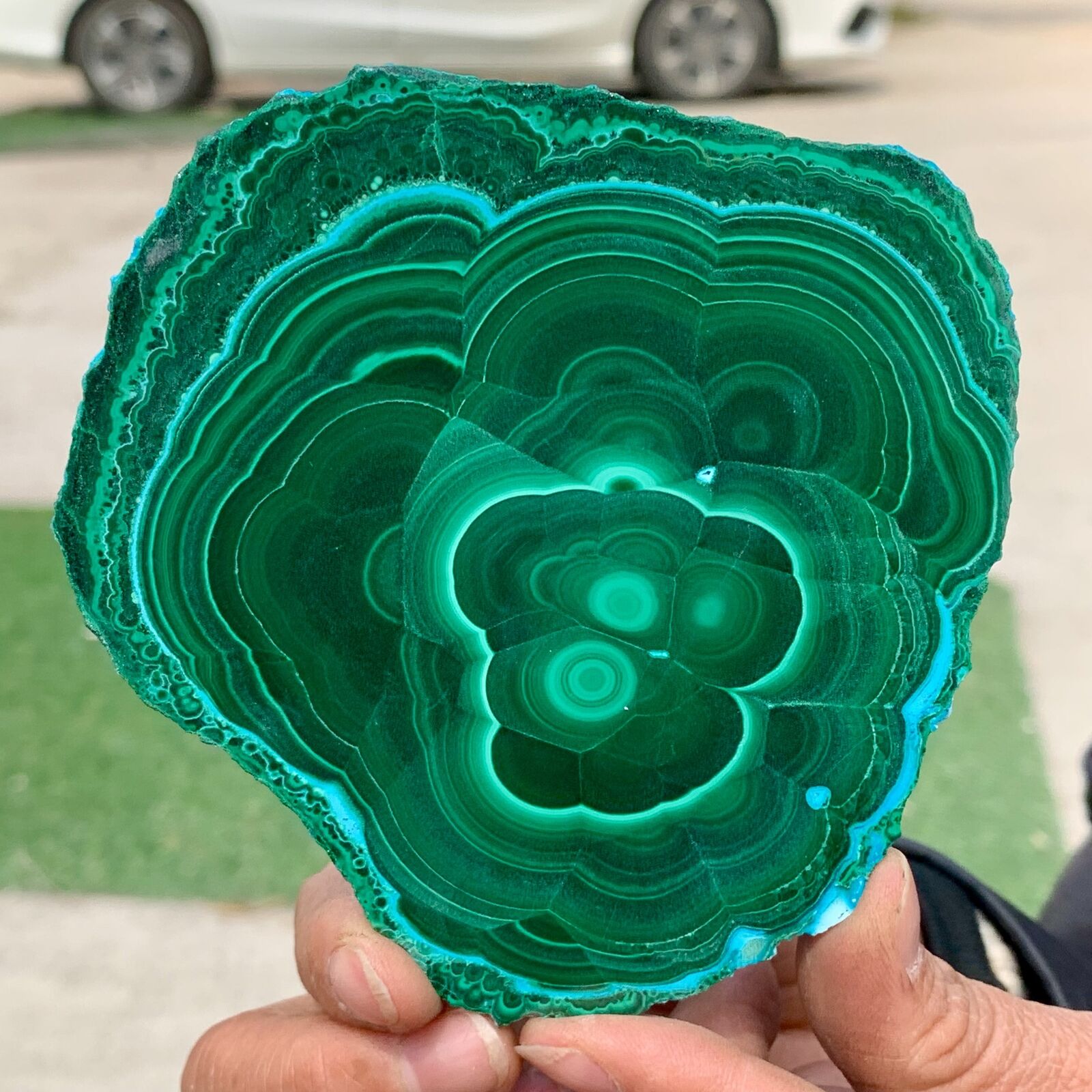 238 gNatural green Malachite crystal slice pattern mineral specimen