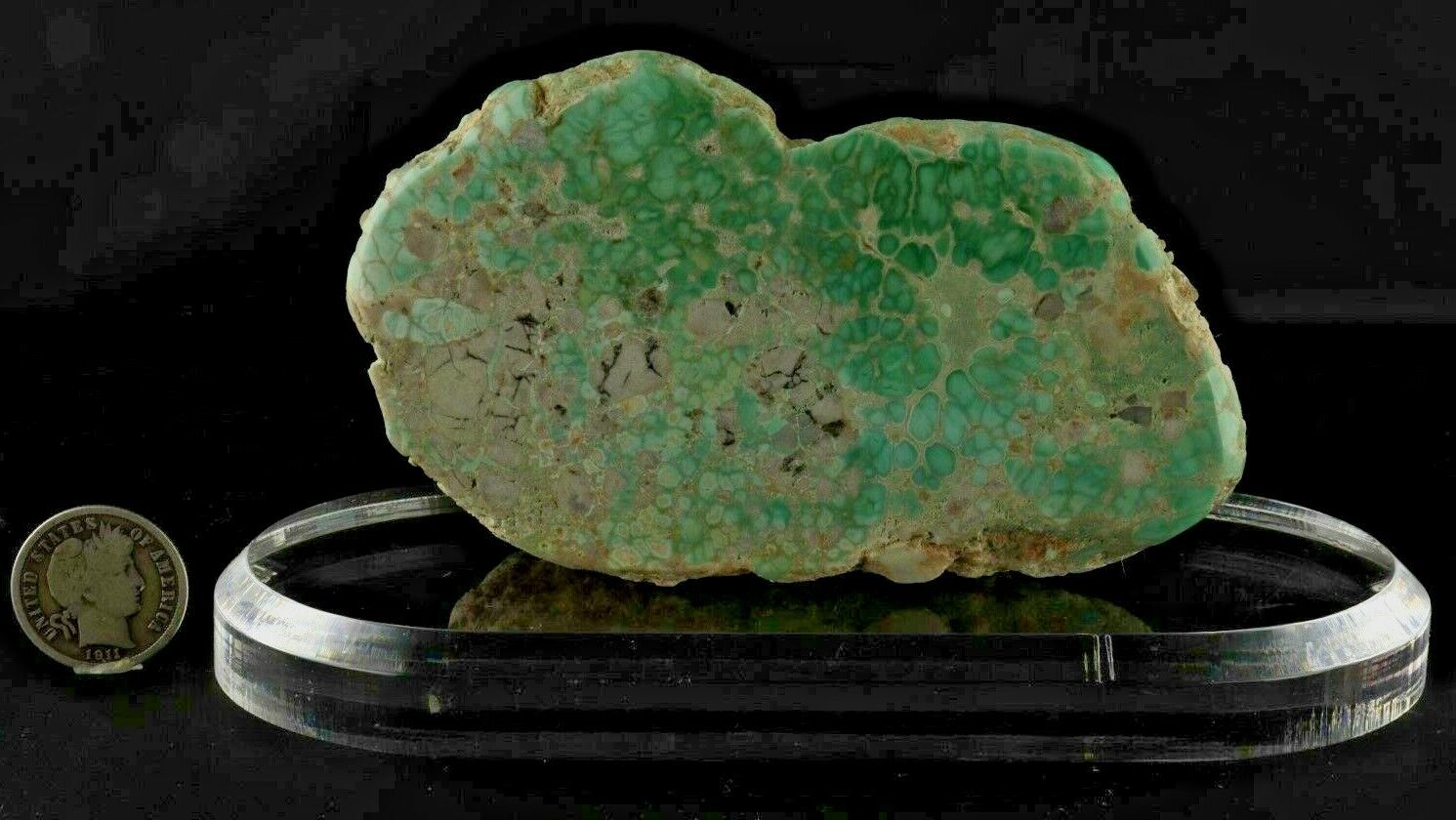COLLECTIBLE Rare Lucin Variscite Museum Grade Mineral Specimen-American Mined